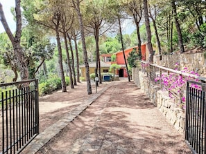 Möbel, Stuhl, Strand, Schatten, Meer, KĂŒste, Gartenmöbel, Ozean, Ufer, Restaurant
