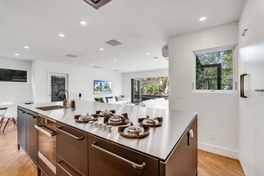 Minimalist Chef’s Kitchen