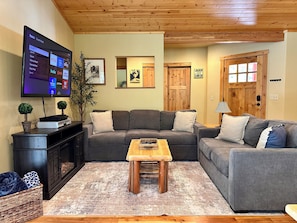 ROKU streaming, DVD player and electric fireplace
