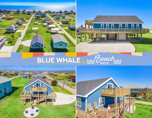 Welcome to Blue Whale by BeachBox