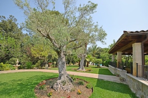 Giardino