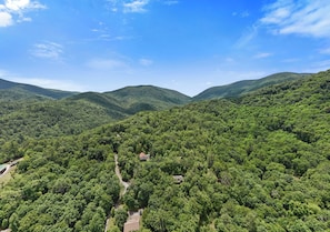 Aerial view of the home.