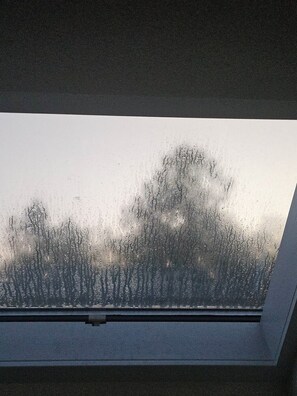 Blick von der Unterkunft