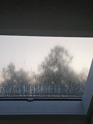 Blick von der Unterkunft