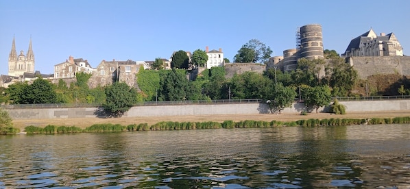 Imagen general