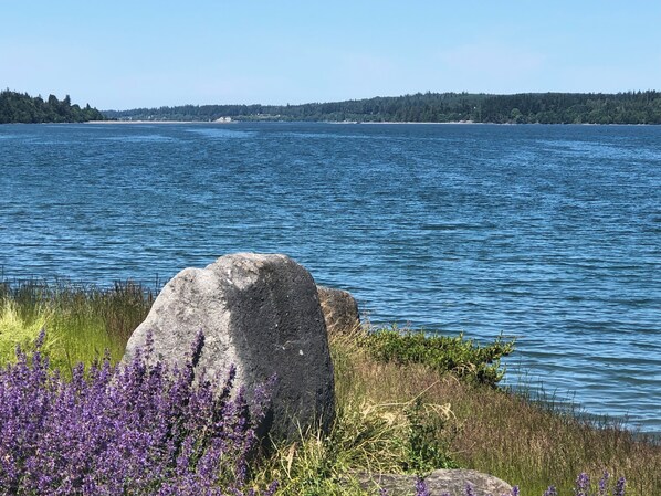 Sekalaista