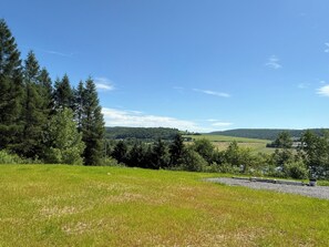 Miscelánea