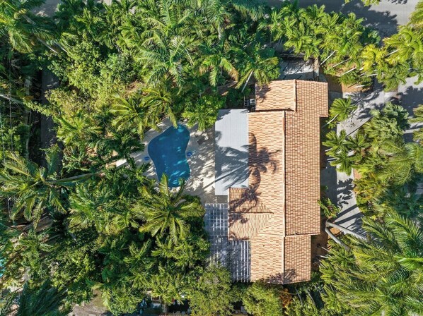 Drone view! Jungle like home paradise. Framed by nature, crowned with fruit trees, and centered around a dreamy pool. 