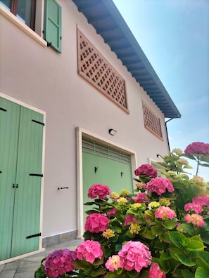 Exterior detail