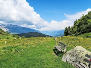 Place