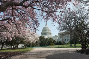US Capitol Building