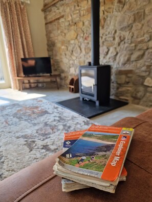 Woodburner (1)