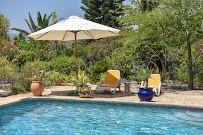 Terrace and pool
