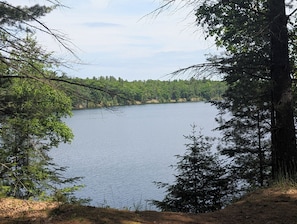 OVERALL: Looking down at the river from the property. (There is a short path that goes from the cabin to the river.)