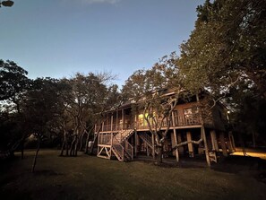 Creekside evening