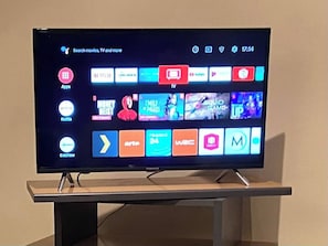 Television