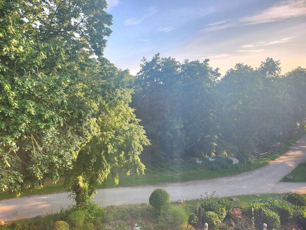 Ausblick
