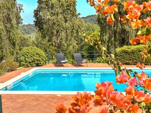 The pool