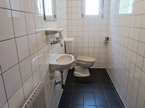 Toilet Seat, Bathroom, Plumbing Fixture, Wall, Toilet, Flooring, Bathroom Sink, Floor, Sink, Plumbing