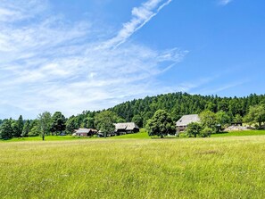 Blue, Green, Grass, Tree, Grassland, Natural Landscape, Summer, Plain, Field, Pasture