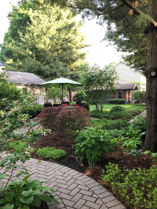 Serene backyard
