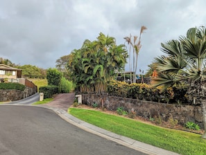 View of the driveway #143