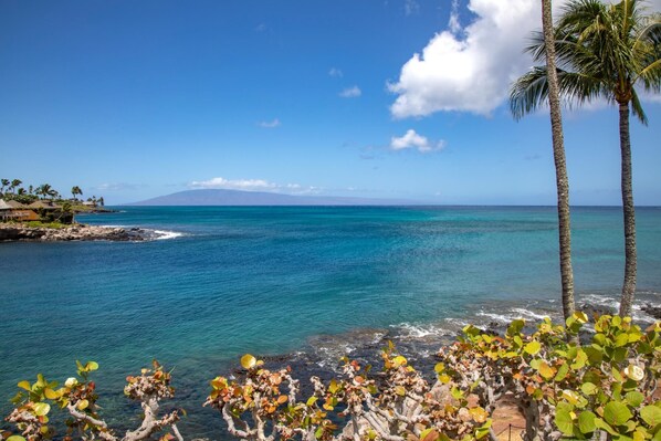 Serene coastal views with swaying palms and clear skies NAP-B13