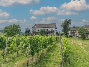 Außenseite Ferienhaus [Sommer]