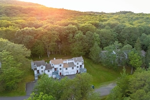 Aerial view featuring dense green trees.