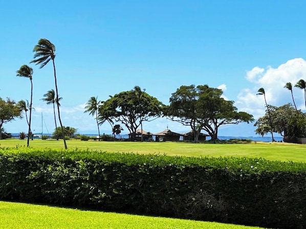 Ocean and Kaanapali Golf Course Views from Maui Eldorado J122