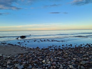 Ranta