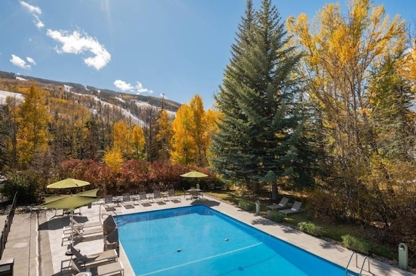Heated Pool and Hot Tub