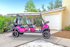 Golf Cart (6 person)