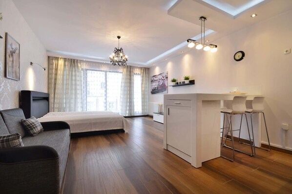 The bright space of the comfortable Studio for two people.