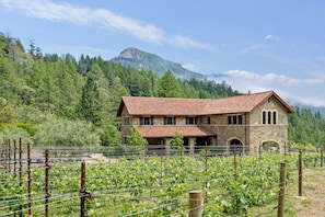 Cabernet Vineyards, Stunning Mountain Views, on 38 Acres, Pool, Pond, & more!