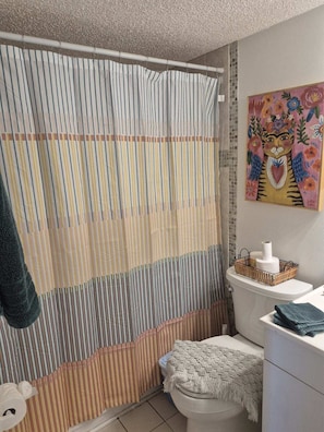 Second bathroom in hallway