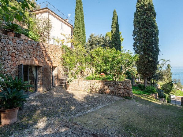 Shrub, Garden, Stone Wall, Landscaping, Evergreen