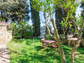 Blatt, Vegetation, Strauch, Garten, Ground, Frühling, Schatten, Hinterhof, Landscaping, Garten