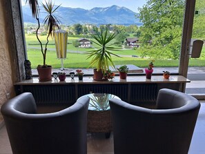 Meubles, Chaise, Design Intérieur, Table, Pot De Fleur, Plante D'Appartement, Ombre, Table Basse, Salon