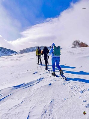 Wintersport/Ski