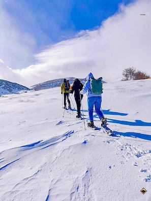 Wintersport/Ski