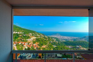 Vista del balcón