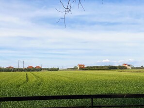 Sekalaista