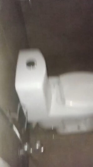 Sekalaista