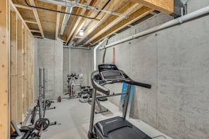 Home Gym | Lower Level