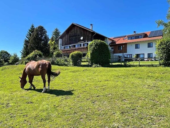Alpen Panoramahof
