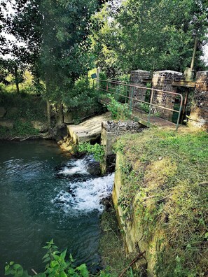 Divers