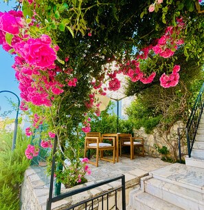 Garden and dining table.