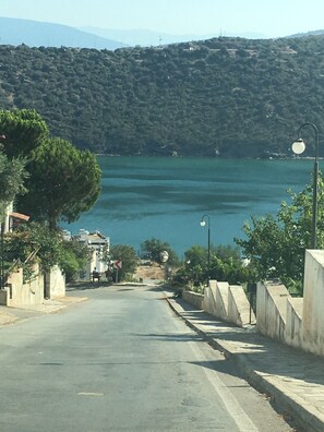 The path from the house to the beach.
