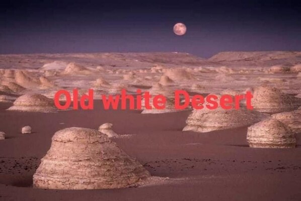 Diversos